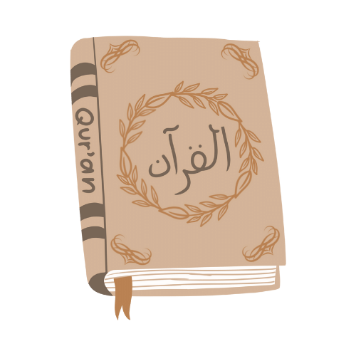 Ejza Curriculum Course